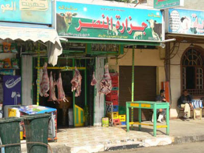 marsa003