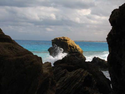 marsa010