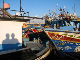 marsa011