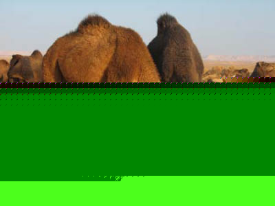 oasen004-4
