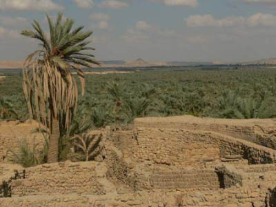 oasen004