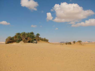 oasen005-5