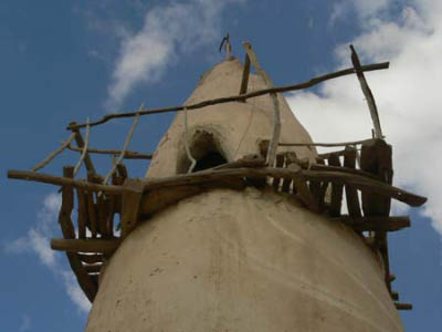 oasen006