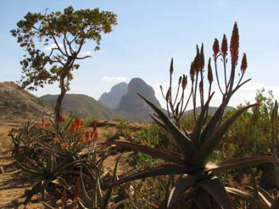 ethio04_06