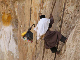 ethio04_04