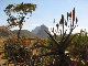 ethio04_06