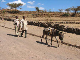 ethio04_08