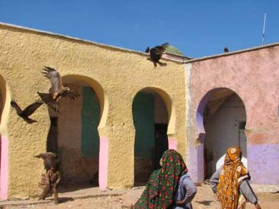 ethio08_02