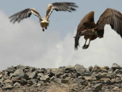 ethio08_08