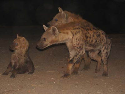 ethio09_10