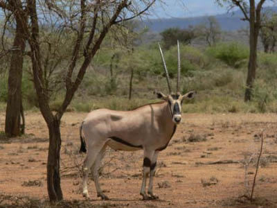 ethio10_03
