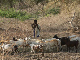 ethio08_10