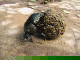 ethio10_04