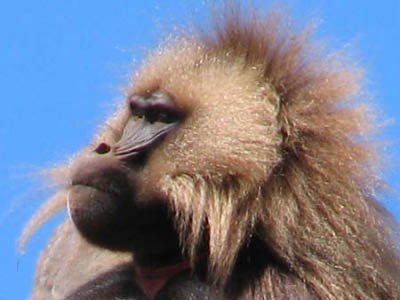 ethio03_03