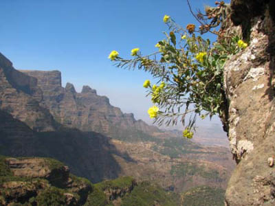 ethio03_06