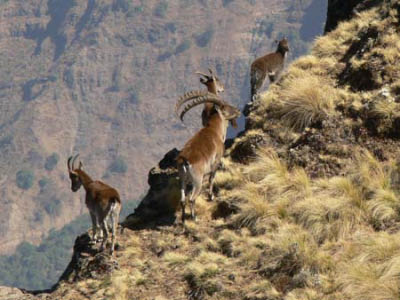 ethio03_08