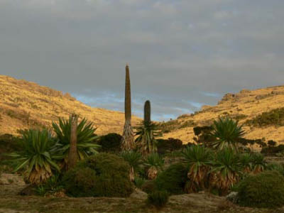 ethio03_09