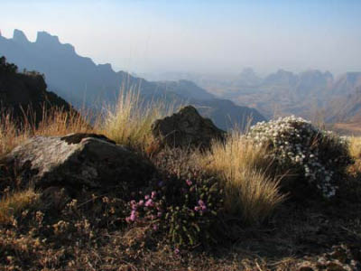 ethio03_10