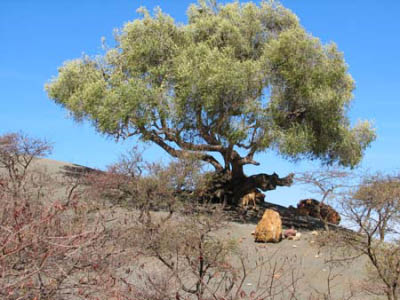 ethio04_02