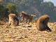 ethio02_07