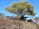ethio04_02
