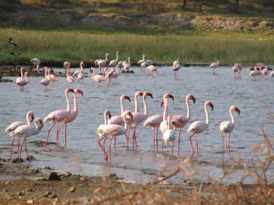 ethio01_02