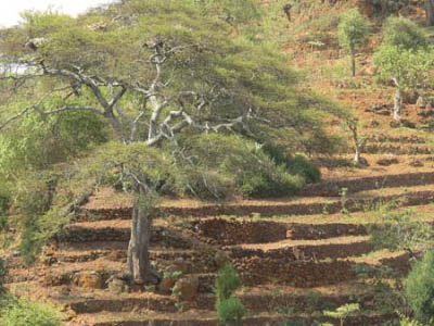 ethio03_02