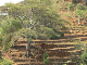 ethio03_02