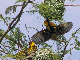 ethio03_08