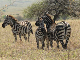 ethio03_11