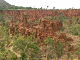 ethio05_12