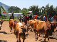 ethio06_11