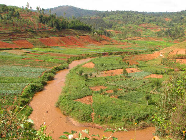 burundi-41