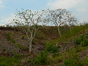 burundi-02