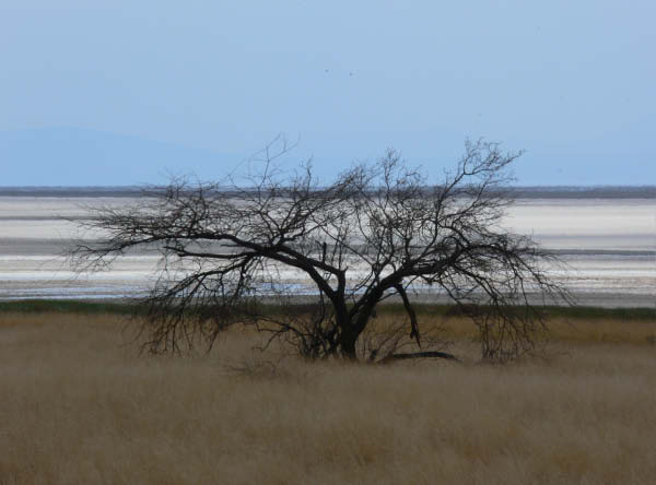 durch_afrika-076