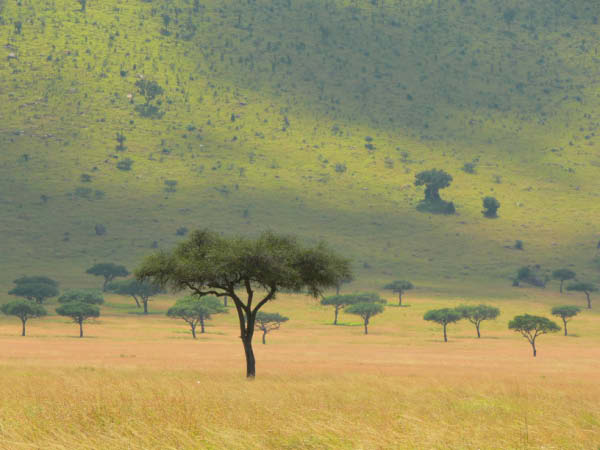 durch_afrika-083