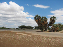 durch_afrika-048