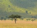 durch_afrika-083