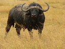 durch_afrika-089