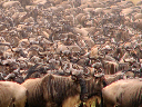 durch_afrika-090