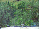 P1130075_bearbeitet-1