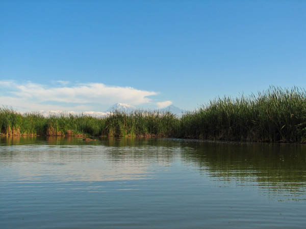 IMG_4107_bearbeitet-1
