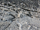 P1150278-1