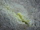 P1150329-1