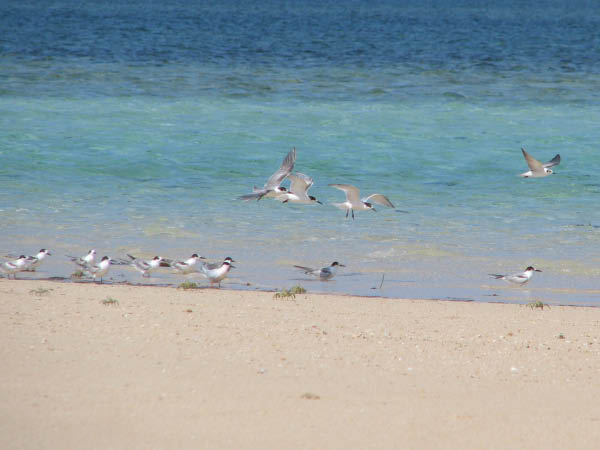 IMG_4971_b