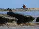 P1130622_bearbeitet-1