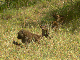 P1150477_bearbeitet-1