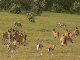 P1150486_bearbeitet-1
