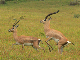 P1150546_bearbeitet-1
