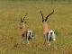 P1150553_bearbeitet-1